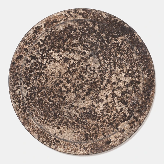 Plate III by Louis Vincent seen from above, a flat speckled disc with a faint inner ring