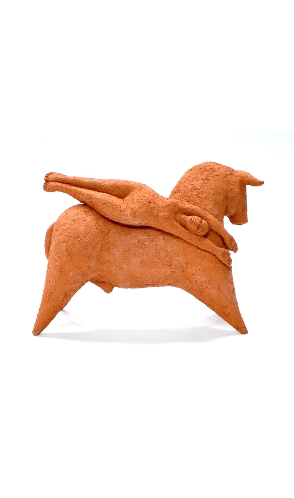 Bull's Matter by Zahed Tajeddin