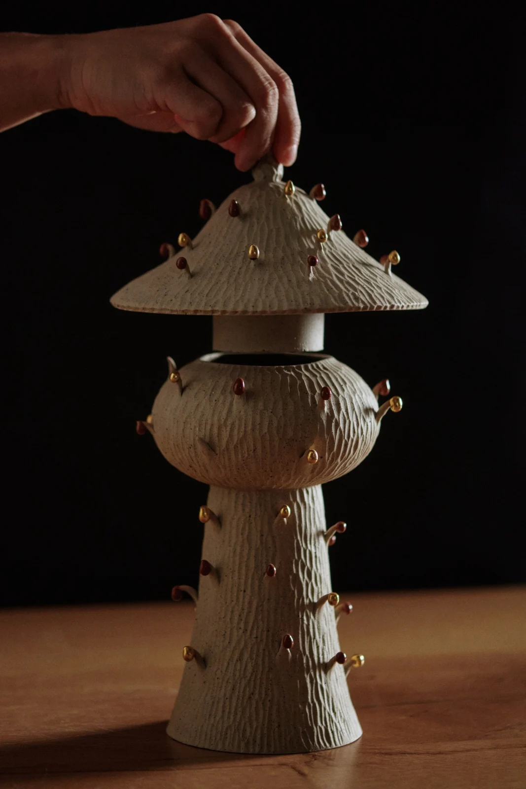 Jihyun Kim’s Teoju with its lid lifted, against a dark background