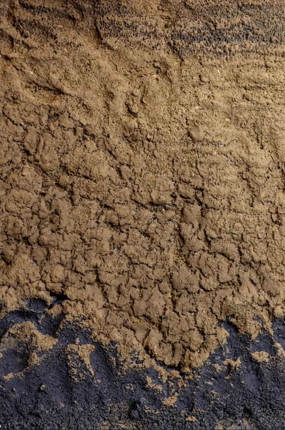 Clay 1666 | Adam Weismann detail 2