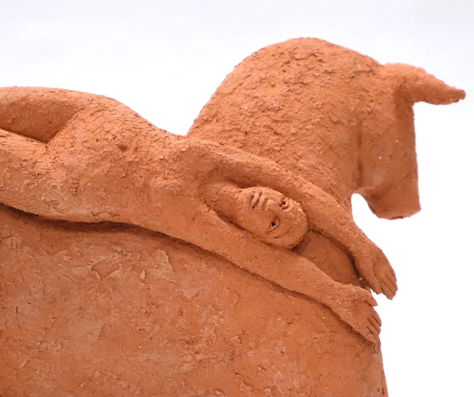 Bull's Matter | Zahed Tajeddin detail 2